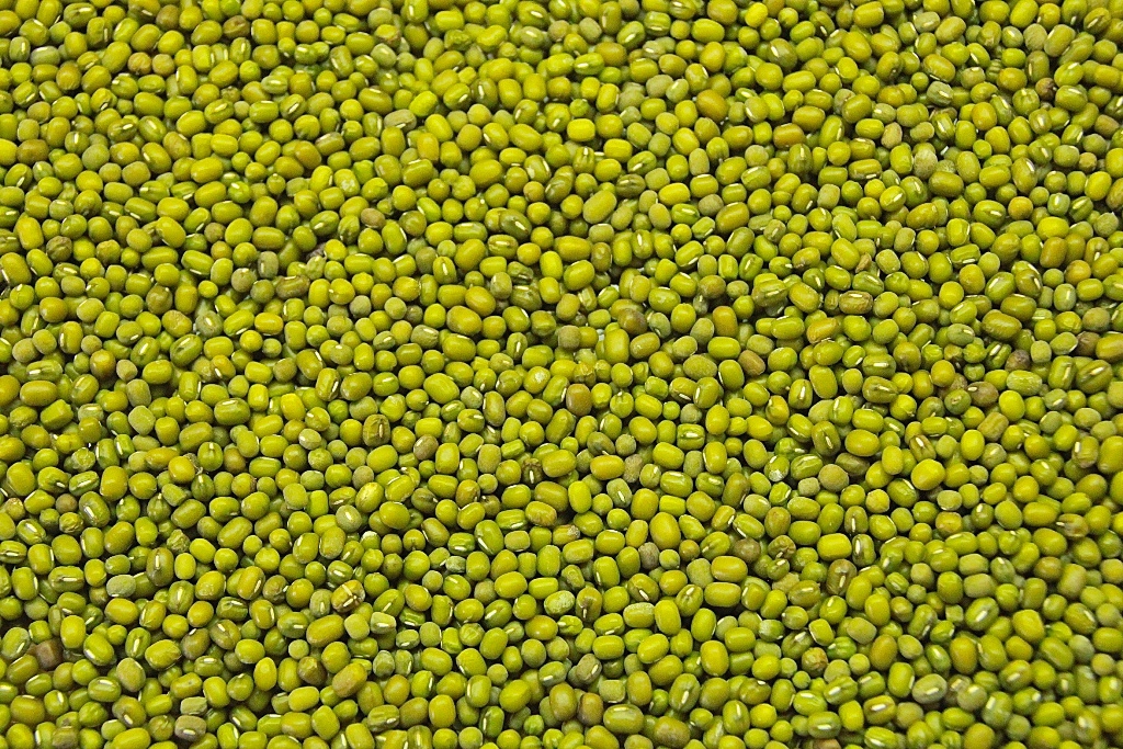 Green Mung Beans